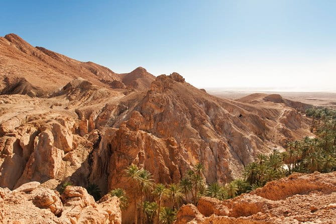 Indian Canyons Hiking Tour by Jeep from Palm Springs - The Value of the Experience