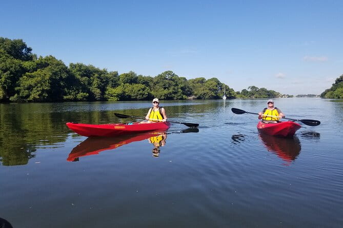 Indian River Clear Bottom Kayak or Paddleboarding Manatee and Dolphin Tour - FAQ
