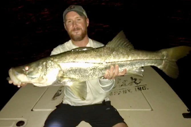 Inshore Sport Fishing with Local Guide - Who Will Love This Experience?