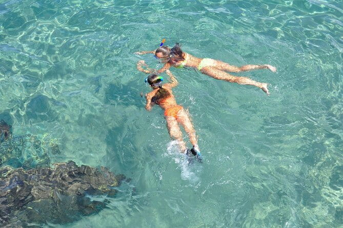 Islamorada: Snorkel adventure & Sandbar Trip - Authentic Traveler Experiences
