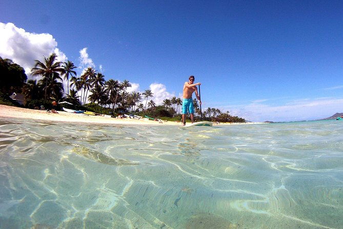 Kailua Stand Up Paddle Boarding Lesson - Who Will Love This Experience?