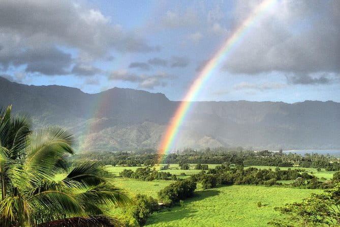 Kauai East Side and North Shore Private Guided Tour - The Highlights That Keep Coming Up in Reviews