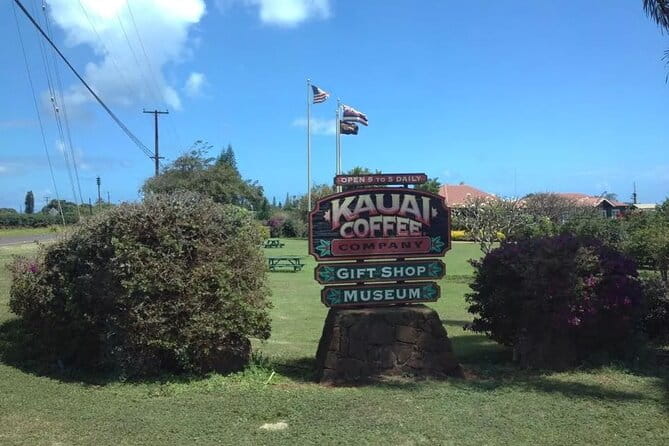 Kauai Shore Excursion - Waimea Canyon Adventure Tour - Nawiliwili - Detailed Breakdown of the Itinerary