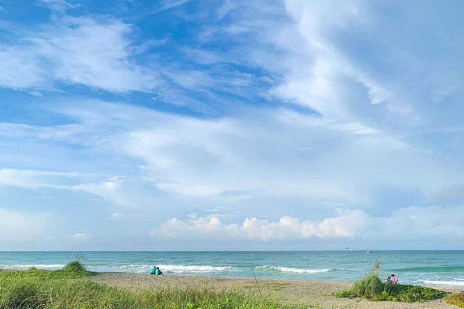 Kayak and Paddleboard Rentals at Siesta Key - Why This Tour Offers Great Value