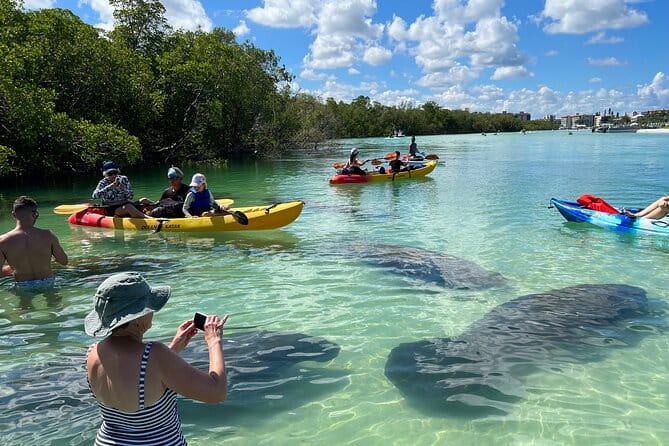 Kayak and SUP Rentals - Big Hickory Island - Fort Myers Beach, FL - Who Should Consider This Experience?