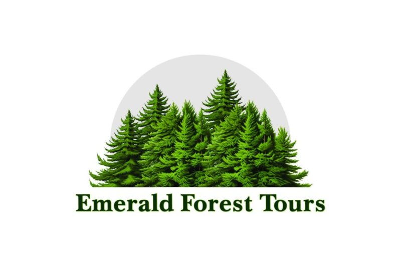 Ketchikan: Private Tour suitable for all ages! - What to Expect at Each Stop