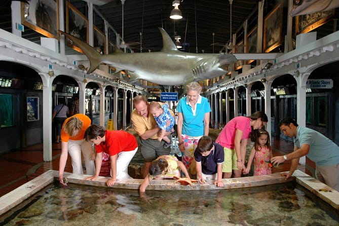 Key West Aquarium Admission - How Good Is the Value?