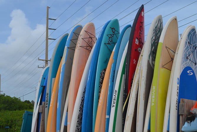 Key West Stand Up Paddleboard Rental - Analyzing the Value: Is It Worth It?
