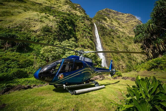 Kohala Waterfalls with Exclusive Landing Helicopter Tour - The Flight Itself: Scenic Diversity & Pilot Expertise