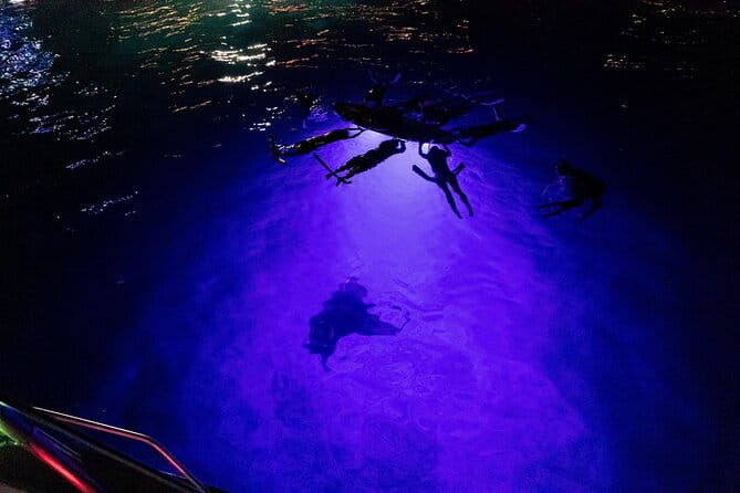 Kona Night Manta Snorkel Tour - Why This Tour Stands Out