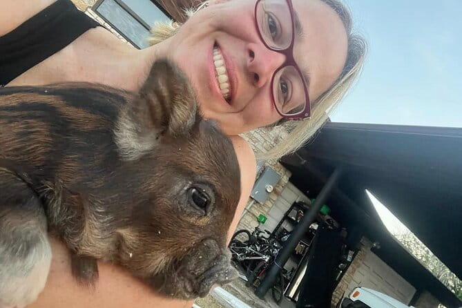 KuneKune Pig Farm Tour - Final Thoughts: Is This Tour Right for You?