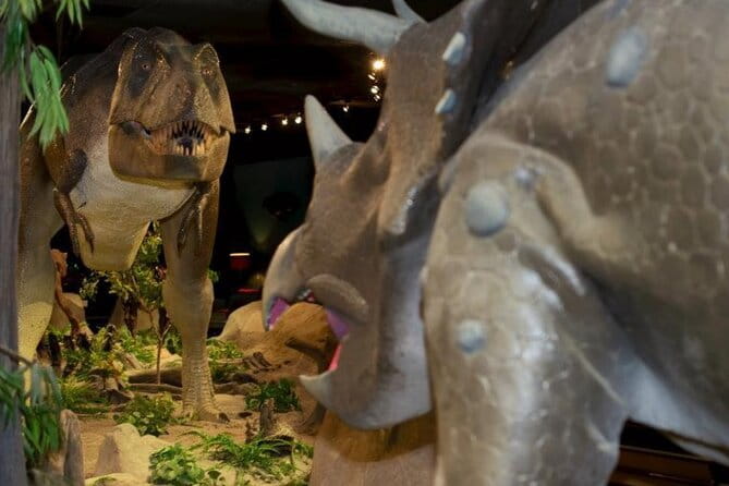 Las Vegas Natural History Museum Admission Ticket - What Visitors Say About the Museum