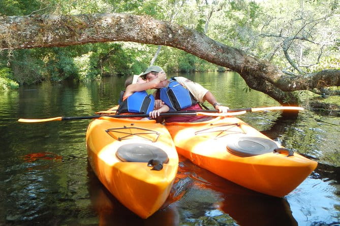 Lofton Creek Kayaking Trip with Professional Guide - What the Reviews Say: Authentic Experiences and Highlights