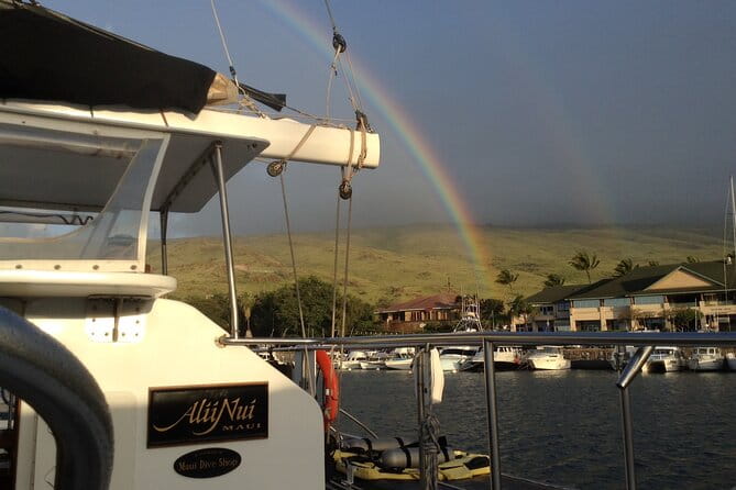Luxury Catamaran Whale Watch - The Sum Up