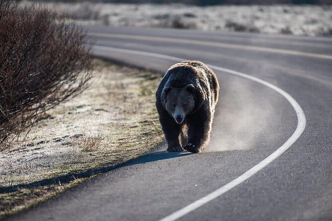 Luxury Private Grand Teton National Park Full-Day Tour - FAQs