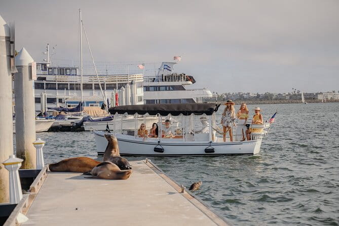 Luxury Shared E-Boat Cruise with Wine, Charcuterie & Sea Lions Spotting - Practical Tips for Your Cruise