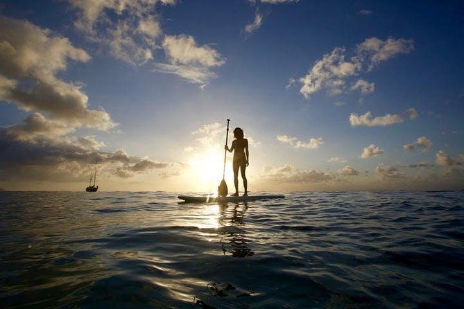Magic Island Honolulu Stand Up Paddling - The Sum Up