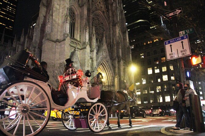 Magical Evening Horse-Drawn Carriage through NYC (65 min) - Authentic Experiences: Insights from Reviews