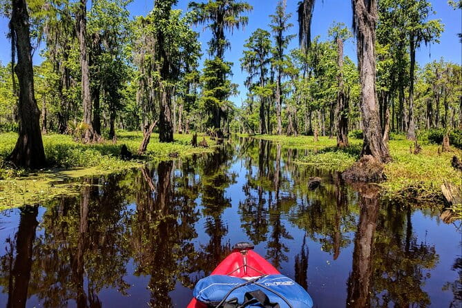 Manchac Swamp EXTENDED Kayak Tour with Pickup - The Balance of Price and Value