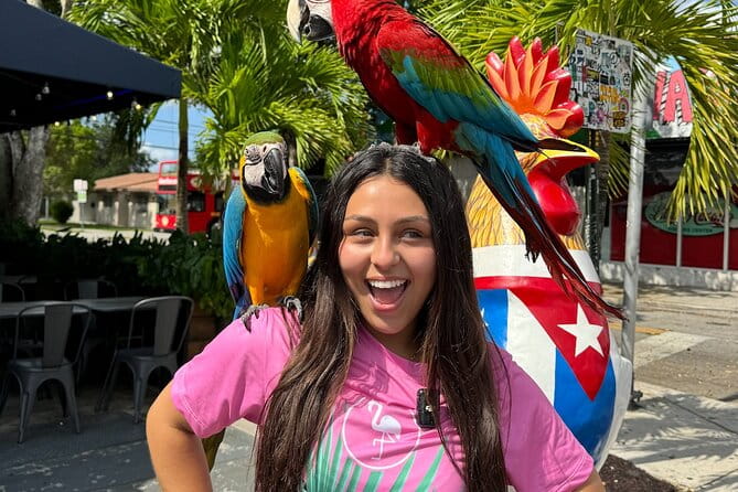 Miami Bus Tour - Flamingo Bus Miami Tours Open-Air Trolley - The Practicalities: What You Need to Know