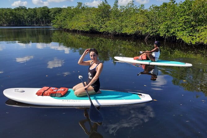 Miami Kayak and Paddleboard Rentals in Virginia Key - Authentic Wildlife Encounters and Local Environment