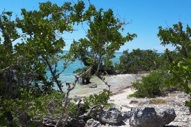 Miami to Key West Day Trip Transportation - The Experience in Detail: What to Expect