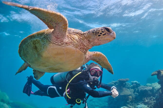 Miami Two Tank Dive Trip - Who Should Book This Tour?