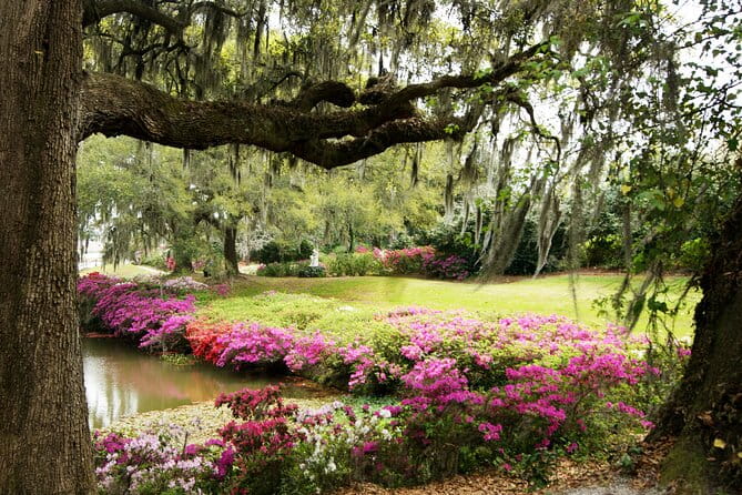 Middleton Place Tour with Lunch and Transportation - Who Should Consider This Tour?