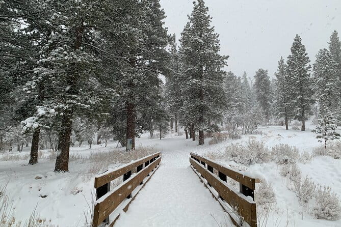Mount Charleston Tour - The Itinerary in Detail
