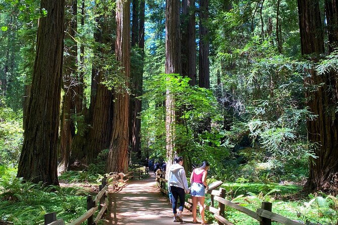 Muir Woods and Golden Gate Bridge 3-hour Private Group Tour - Practical Tips for Booking and Enjoying