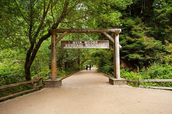 Muir Woods and Sausalito Tour Plus Bay Cruise - Transportation, Group Size, and Overall Value