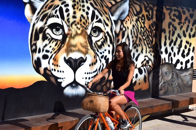 Mural Bike Tour - The Value: Is It Worth the Cost?