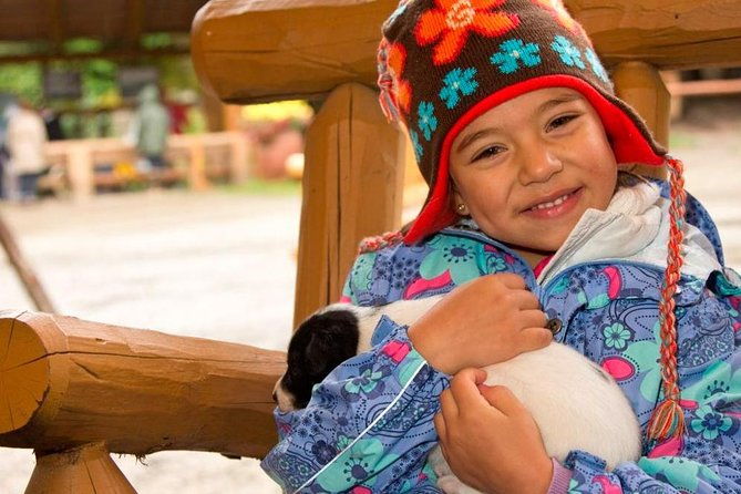 Musher's Camp and S'more Roasting Experience - The Experience’s Value: Is It Worth It?