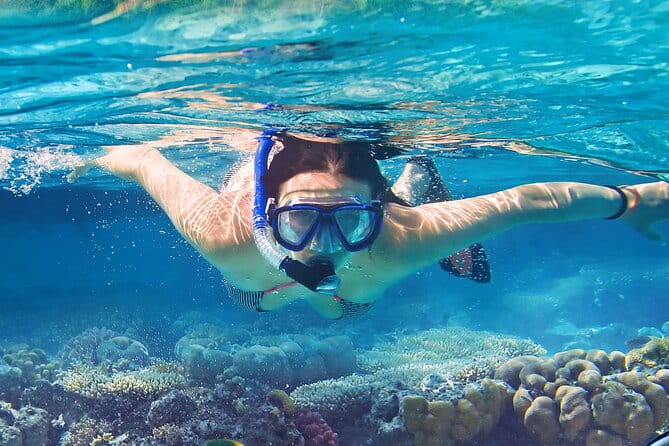 North Bay Snorkel - What the Reviews Say