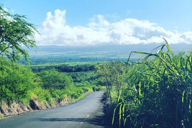 North Shore Tour Guide Hike - What to Expect: A Step-by-Step Breakdown