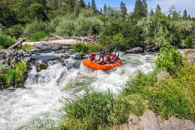 Nugget Falls class IV Half-Day Rafting on The Rogue River - The Sum Up: Who Will Love This Trip?