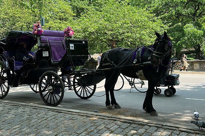 NYC Empire State Horses Carriage Ride in Central Park (45 Mins) - What You Can Expect During the Ride