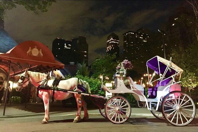 NYC : Magical Christmas Lights Private Horse Carriage Ride - FAQ
