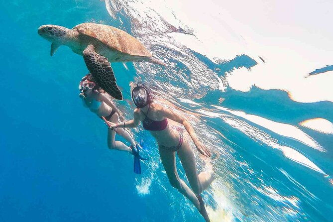Oahu Coastline Cruise: Turtle Snorkeling and Jumping Platform - Who Should Book This Tour?