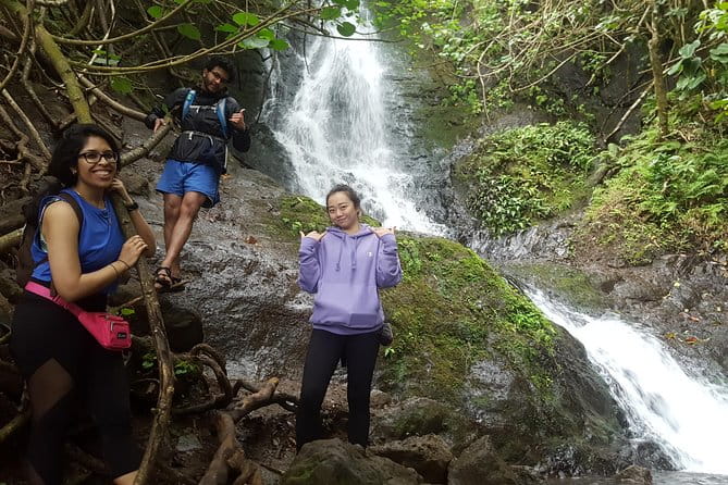 Oahu Hidden Waterfall Hike: A Tropical Paradise Adventure - The Sum Up: Who Is This Tour Best For?
