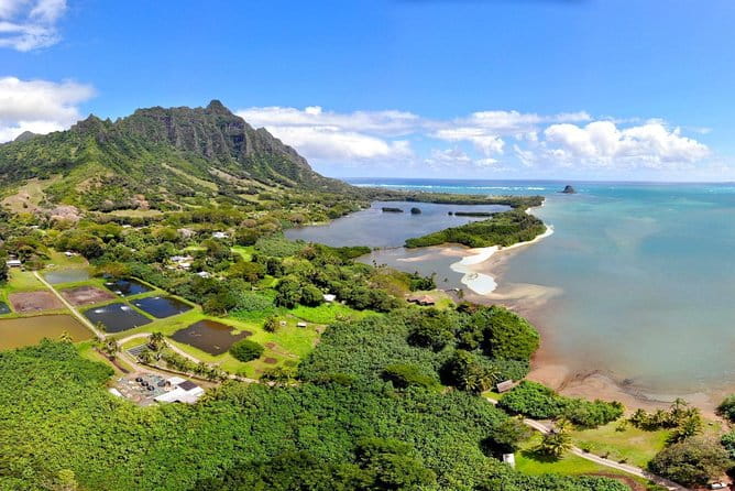 Oahu Island Full-Day Sightseeing Tour - Practical Considerations