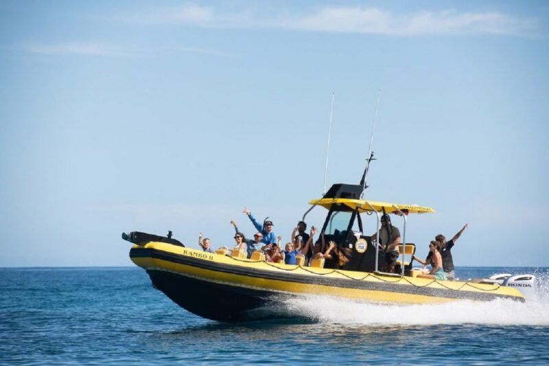 Oahu: North Shore Haleʻiwa: Private Boat Charter - The Value of a Private Group