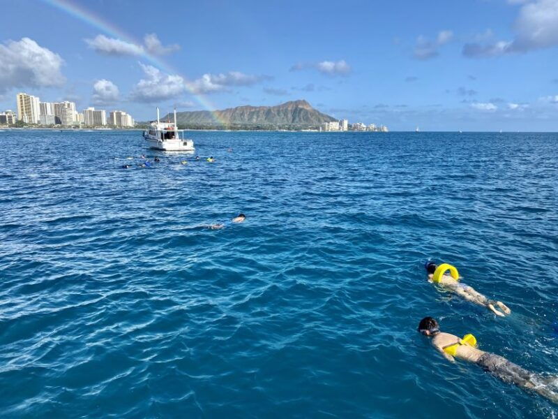 Oahu: Private Turtle Snorkeling with Customizable Itinerary - The Itinerary: What to Expect