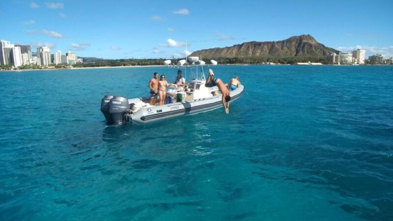 Oahu: Waikiki Private Snorkeling and Wildlife Boat Tour - The Itinerary in Detail