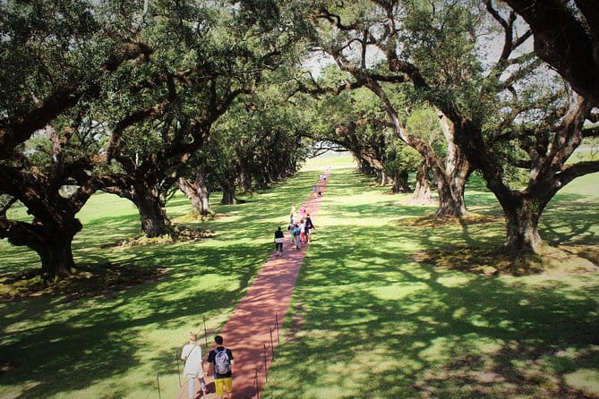 Oak Alley Plantation Tour with Transportation - Who Should Take This Tour?