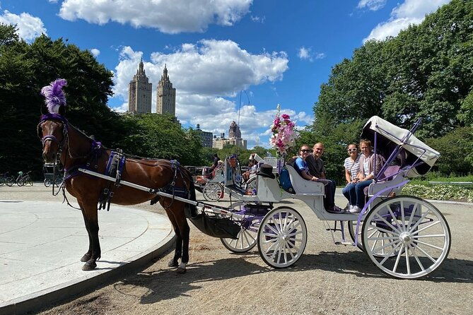 OFFICIAL NYC Central Park Horse Carriage Rides - Analyzing the Price and Overall Value