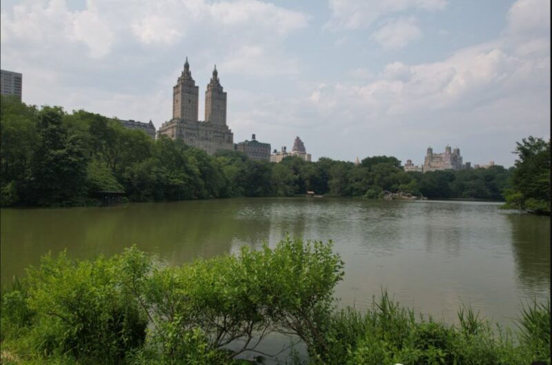 Official VIP Whole Central Park Horse Carriage Tour - The Experience: A Deep Dive into the Details