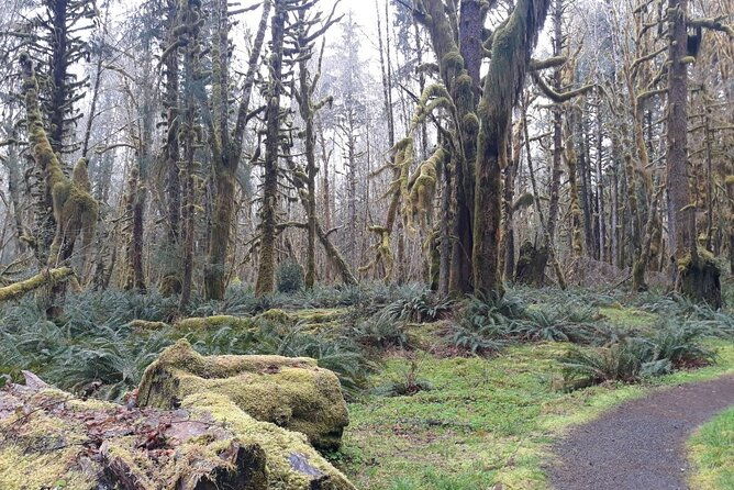 Olympic Peninsula and Forest Tour - Frequently Asked Questions