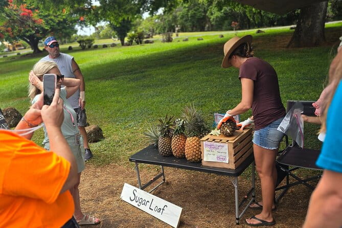 Opaeka'a falls, Spouting Horn, Poipu Beach - What’s Included and Not