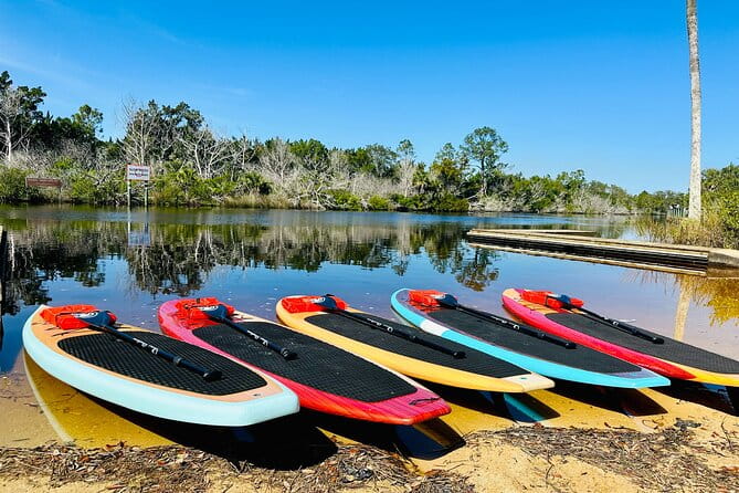 Ormond Beach Manatee and Nature Tour Kayaking or Paddle Boarding - Final Thoughts